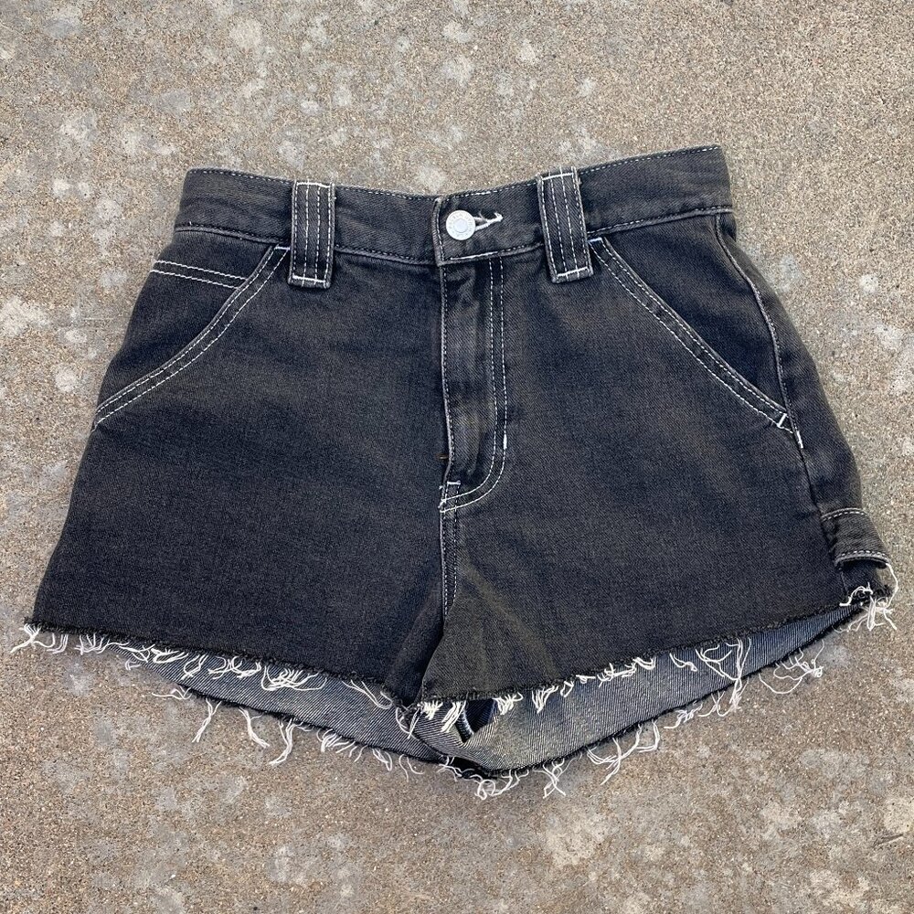 Pacsun Carpenter Shorts (Size 25)